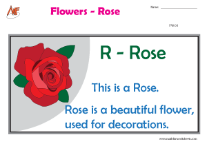 Describing Flowers