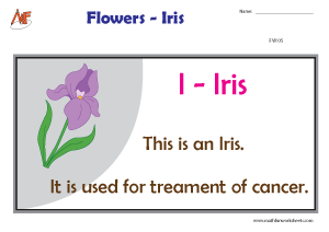 Describing Flowers