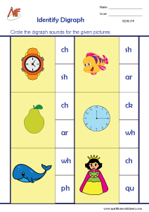 Digraphs and Trigraphs